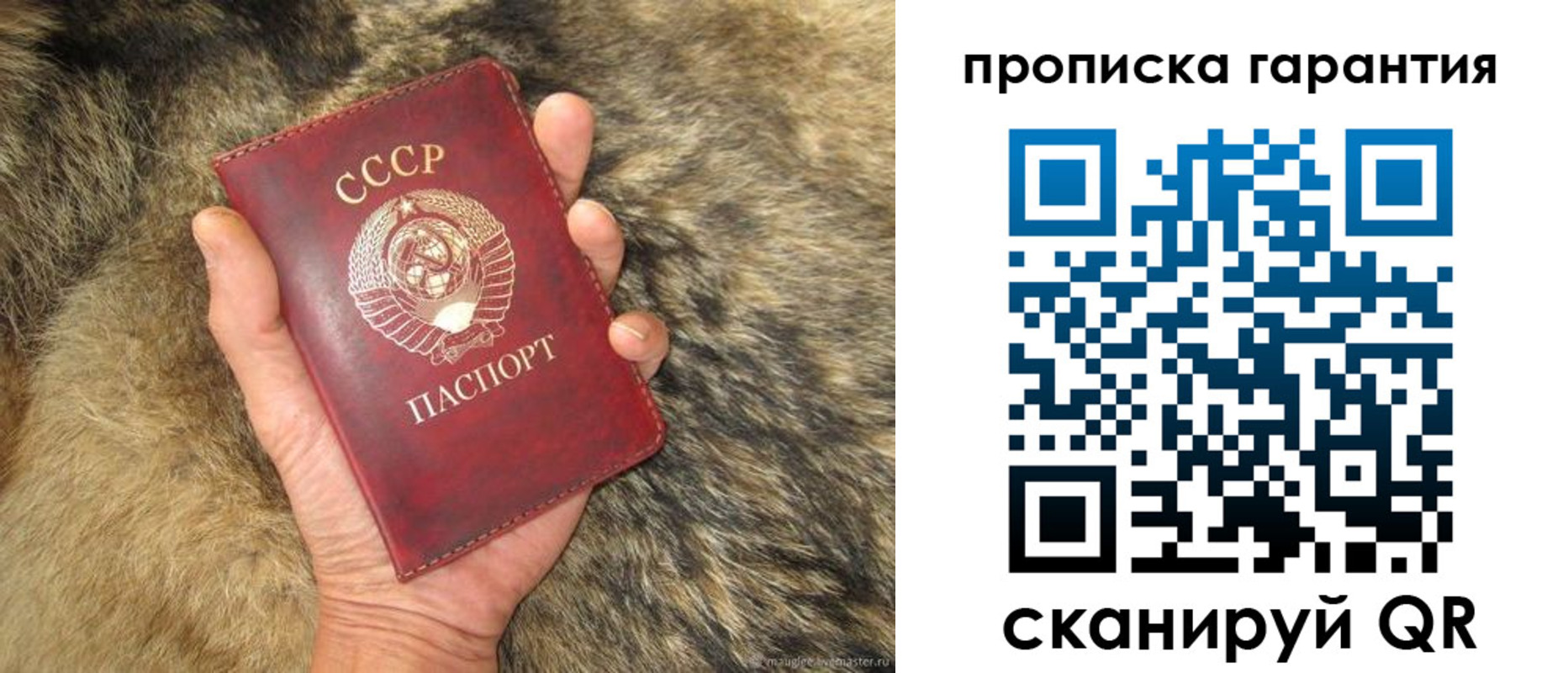 временная регистрация гарантия в Выборге